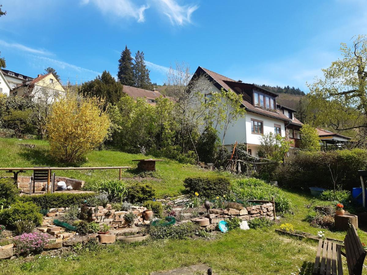 Готель Gastehaus Endrich Гайдельберг Екстер'єр фото